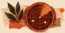 Radar circular de competências